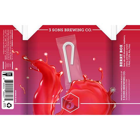 3 Sons Berry Box Sour Ale