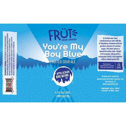 Appalachian You're My Boy Blue Fruited Sour Ale