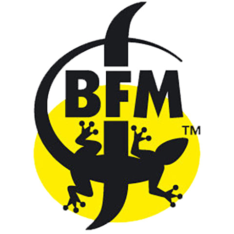 BFM La Dragonne Dark Mild Winter Ale