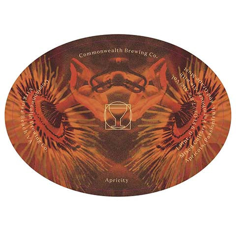 Commonwealth-Apricity-Ale-500ML-CAN