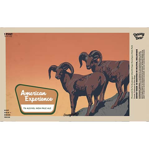 Dewey Beer American Experience IPA