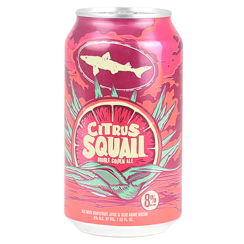 Citrus Squall Bike Jersey, Dogfish Head Craft Brewed Ales