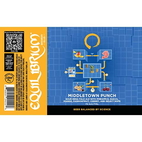 Equilibrium Middletown Punch Sour IPA