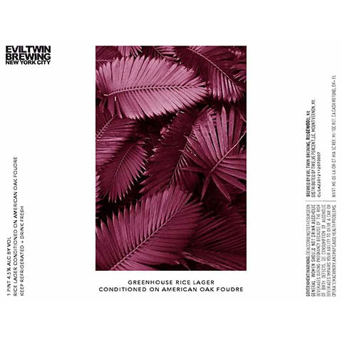 Evil Twin Greenhouse Rice Lager