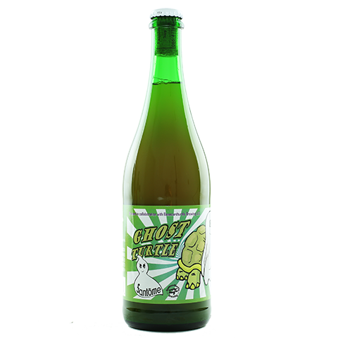 fantome-beancurdturtle-ghost-turtle