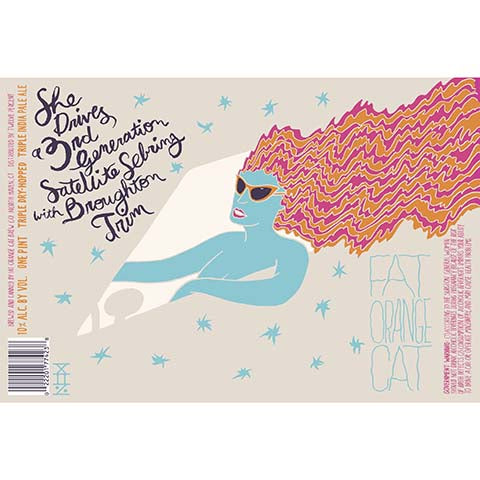 Fat Orange Cat She Drives A 3rd Generation Satellite Sebring with Broughton Trim