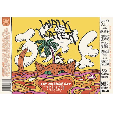 Fat Orange Cat Walk On Water Sour Ale