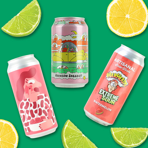 Sour Beer Gift Box Set 12PK
