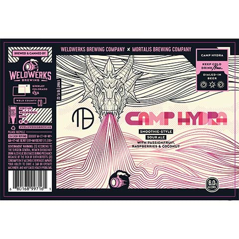Weldwerks Camp Hydra Smoothie Sour Ale