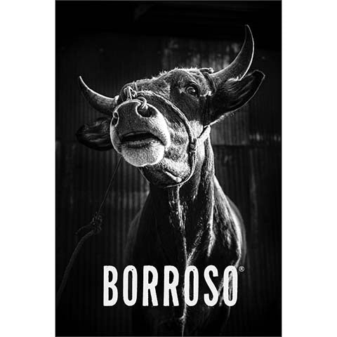 Borroso Tobasiche Mezcal