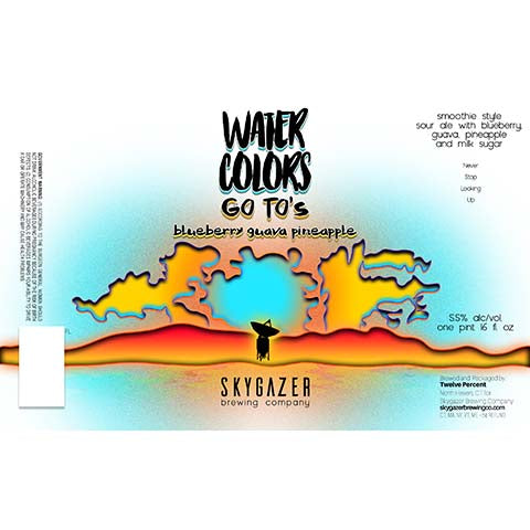 Skygazer Watercolors Go To's Blueberry Guava Pineapple Smoothie Sour Ale