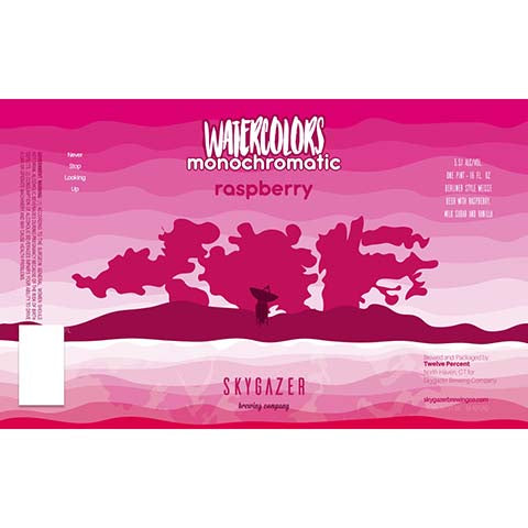 Skygazer-Watercolors-Monochromatic-Raspberry-16OZ-CAN