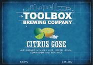 toolbox-citrus-gose